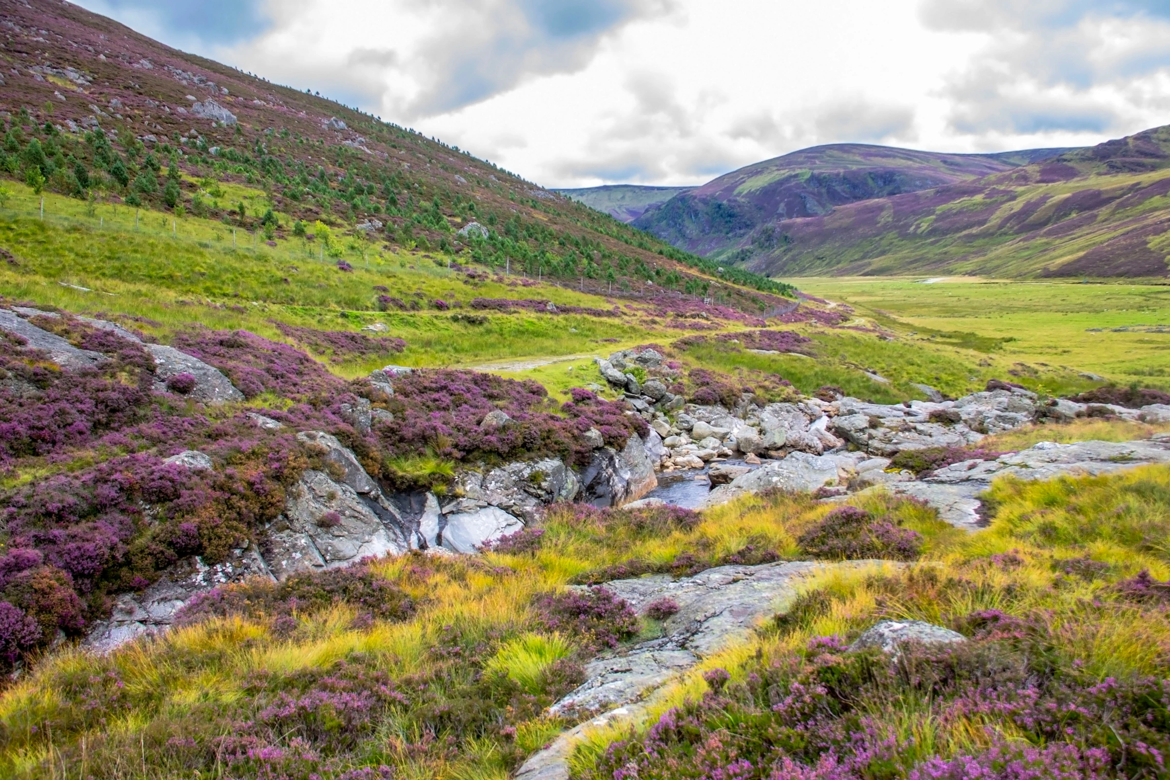 Cairngorms_National_Park[1].webp